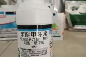 神奇的苯醚甲环唑可以治这么多真菌病害 我讲讲特点的图片