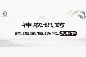 《神农识药》疏调通便汤之火麻仁图片