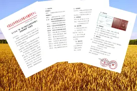 土壤修复政策有哪些？耕地质量状况如何？土壤改良修复刻不容缓图片