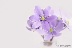 男人永远也不知道的11件事图片