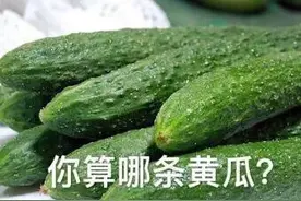 关于黄瓜的这些传言你一定听过！这些年又被骗了？图片