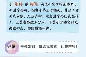 2019年“药学科普之星”作品展示 丨口服避孕药知多少？图片