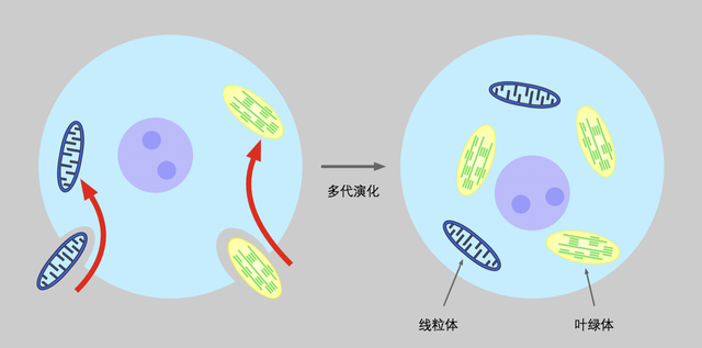 生命起源百年探索：进化论、信息论、热力学谁是主角？