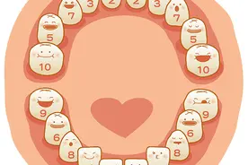 别动不动就说缺钙，宝宝长牙常识，你了解了？图片