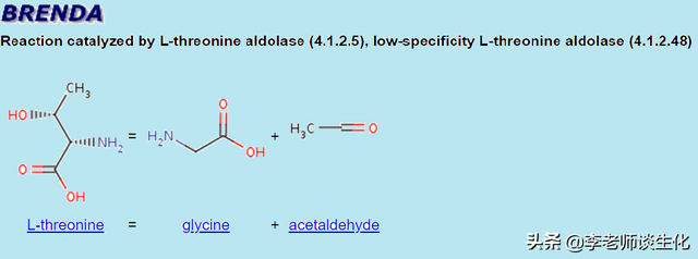 氨基酸的碳架氧化（二）