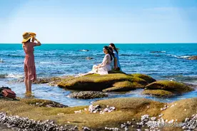 三亚物价到底贵不贵？2位女孩点了2荤2素花了168，看看吃的啥图片