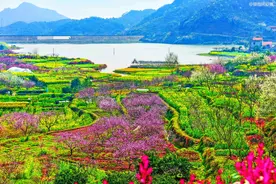 湖北大冶“隐世山村”，坐拥湖光山色，三月春花遍野“美如仙境”图片