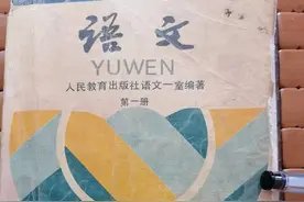 那些年的初中语文课2图片