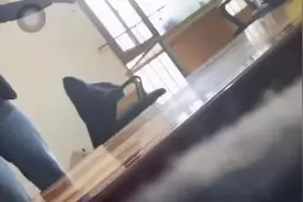 又有机构鼓吹“小升初”特殊门路：学位明码标价，还能免摇号100%入读？图片