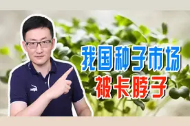 我国缺少优质种子，动植物种子都依赖进口，种子市场有卡脖子风险图片