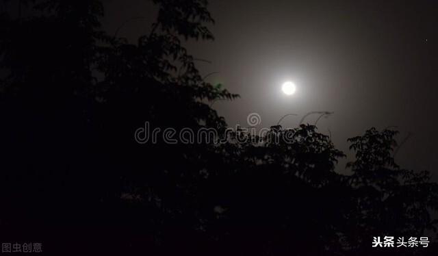 情感美文：这一夜，我在凄风冷雨中寻找你的踪迹