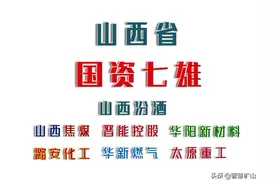 山西省“国资七雄”上市公司数据对比 -（白酒1能源5制造1）图片