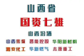 山西省“国资七雄”上市公司数据对比 -（白酒1能源5制造1）图片