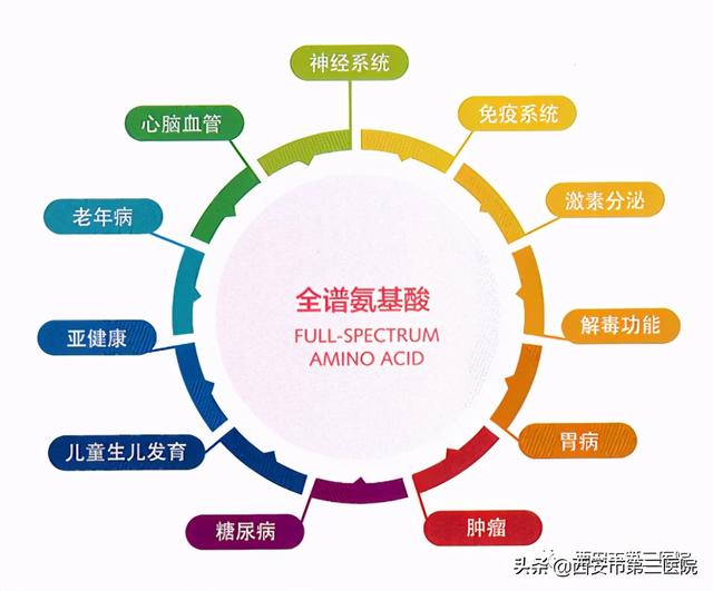 【利好消息】西安市第三医院开展氨基酸检测新项目