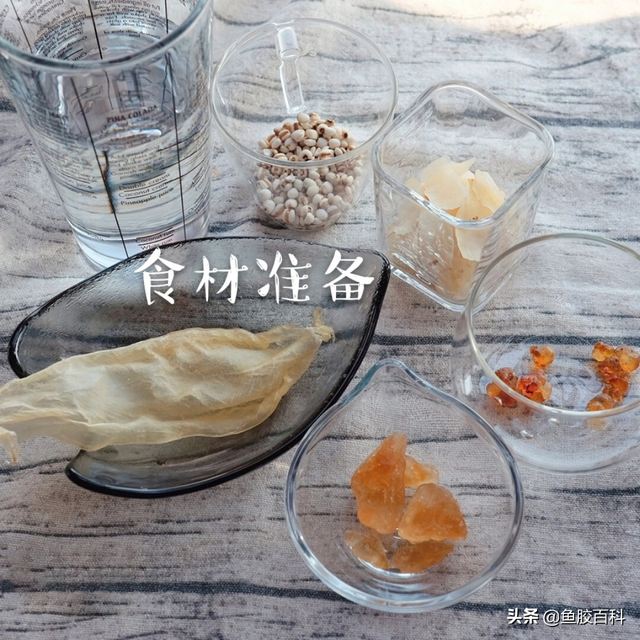 野生白花胶 2026年野生白花胶的作用 野生白花胶 2026年野生白花胶的作用