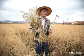 不愧是咱黑龙江小伙！自销大米5万单不够还要帮着家乡人卖大米图片