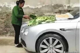 450万宾利进村被晒满咸菜，车主坦言，我也想管但是不敢图片