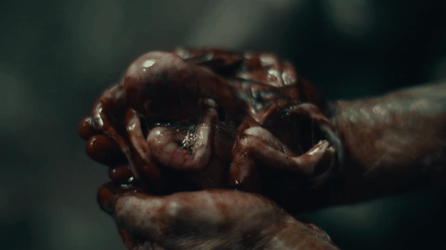 9.0变5.3，粉圈别再祸害他吧