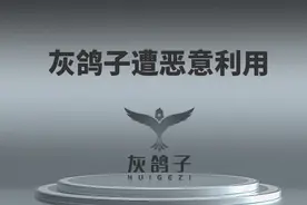 灰鸽子远控软件被用作后门程序恶意投放 已有用户上当安装图片