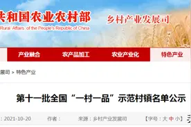 湘潭市湘乡市翻江镇（壶天石羊）入选第十一批全国“一村一品”示范村镇名单图片