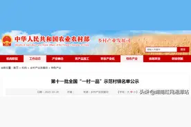 湘潭市湘乡市翻江镇（壶天石羊）入选第十一批全国“一村一品”示范村镇名单图片