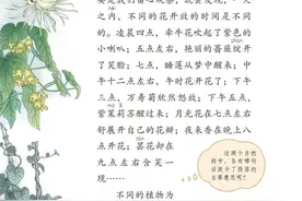 三年级下册语文第13课《花钟》图文详解及同步练习图片