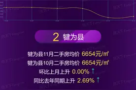 2021年11月乐山市、各区域房价地图图片