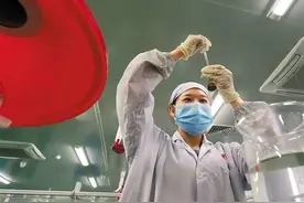 猪血临床“替代”人血？硬核科技问世，有望解决临床血液短缺问题图片