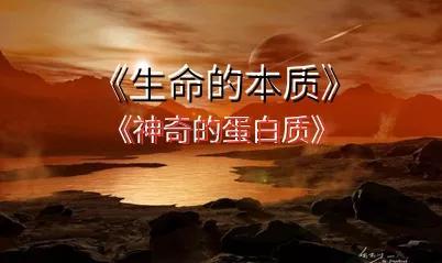 《宇宙的秘密全部揭开（二十四）分子生物学》