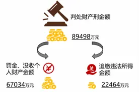 三年审结涉黑案财产刑金额近9亿！广州扫黑除恶战果全省前列图片