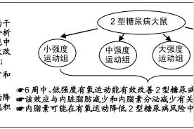 不同运动强度干预2型糖尿病模型大鼠的内脂素及糖代谢变化图片