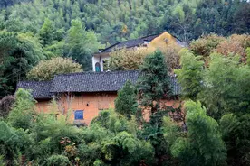 农村俗语“一怕夜猫进宅，二怕房屋背水，三怕坟生土堆”，为啥？图片