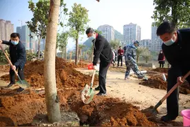 全民义务植树，共建美丽寿城！贺州举行2020年全市义务植树活动图片