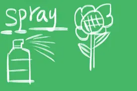 spray什么意思图片