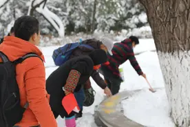 投食近2000斤！还需更多！紧急求助图片