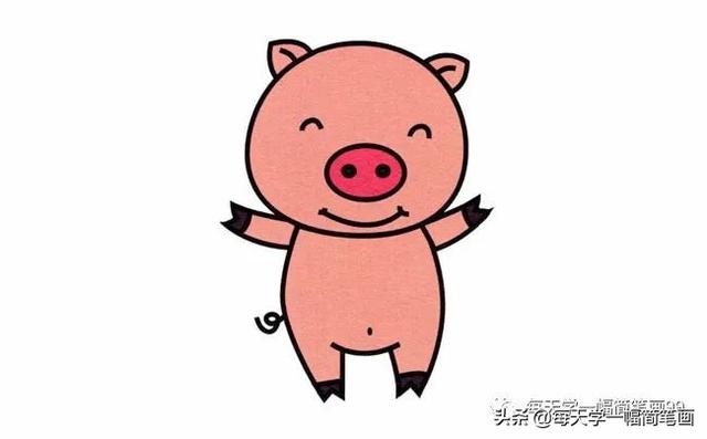 每天学一幅简笔画-小猪动物简笔画步骤图片大全