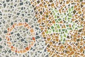 准备考驾照，这几张色觉测试图一定要能够识别出来图片