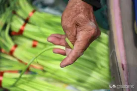 蒜苔价格持续走低，有的白给收购商都不要，有蒜农直接倒沟里图片