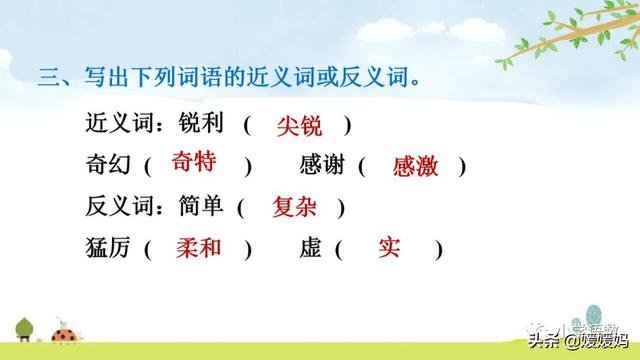 四年级下册语文第3课《天窗》图文详解及同步练习