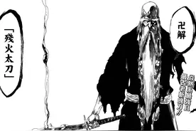 盘点《死神》漫画中那些因持有者另类的修炼方法而产生变化的卍解图片