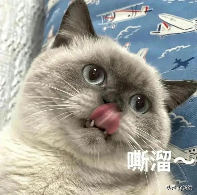 为什么泫雅的身材从来没有崩过？