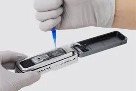 科学家第一次实现了人类X染色体的完整测序图片