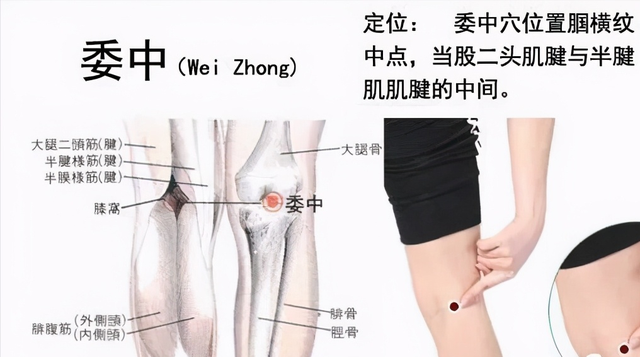 30个常见疾病特效穴位大全,超级实用的中医知识,收藏起来吧