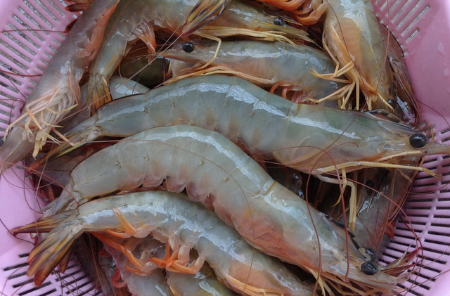 基围虾怎么做比较好吃