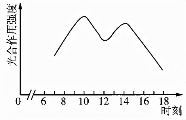 2022届高三开学摸底考试生物试卷（河北卷）