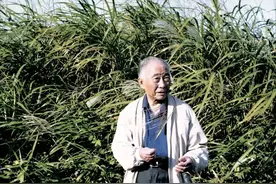 “人间玩够了，我走了”图片