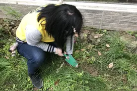 厉害了，这家幼儿园造了座“自然博物馆”图片