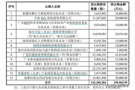 拟引入13家战投，胜宏科技被关注：作保底保收益承诺没？图片