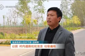 临漳：建设美丽乡村 创建美好生活图片