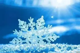 冬，看似荒芜，冷酷无情，实则只是为了等一场雪图片